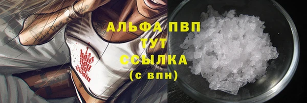 сатива Елабуга