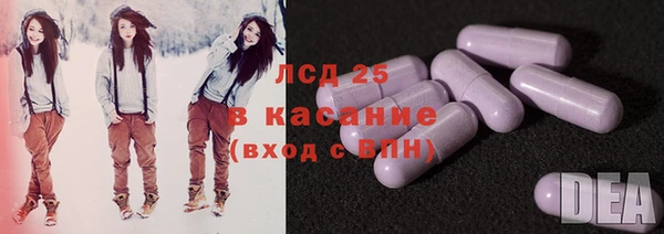 сатива Елабуга