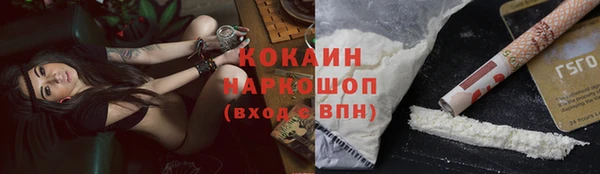 сатива Елабуга