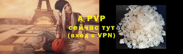 сатива Елабуга