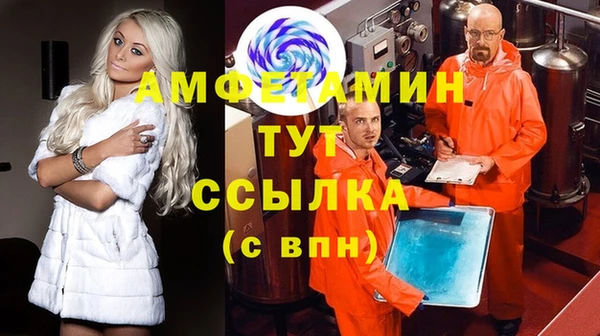 сатива Елабуга