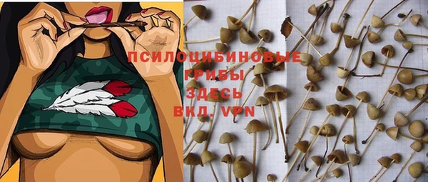COCAINE Ельня