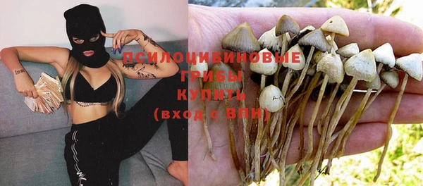 сатива Елабуга