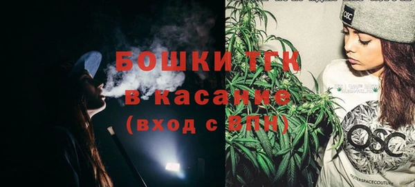 сатива Елабуга